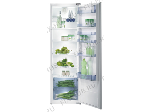 Холодильник Gorenje RI41328 (284913, HI3327F) - Фото
